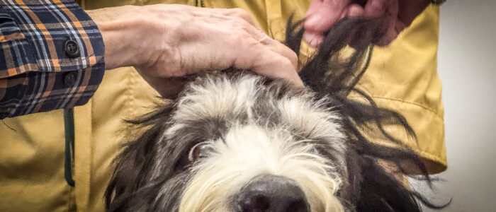 Wyatt “Chip” Simpson spends time with K9, Bernie