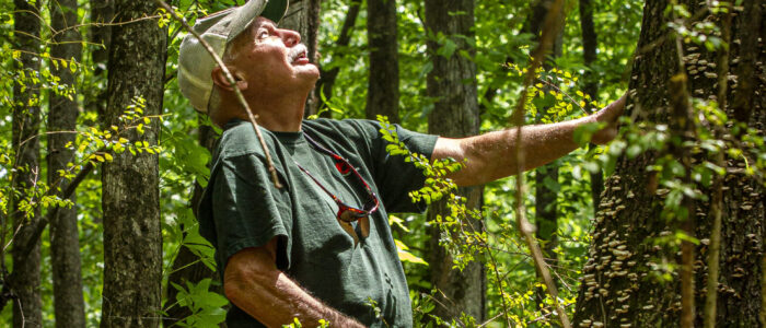 Steve McEachron places his hands against shelf fungus that have formed on dying wood at Wildwood Park on Wednesday, April 30, 2025, in Florence, Ala.